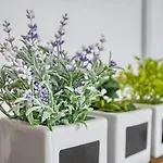 Διαμέρισμα Ticic Τρογκίρ